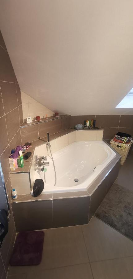 Chez Manu Apartment Voellerdingen Екстериор снимка