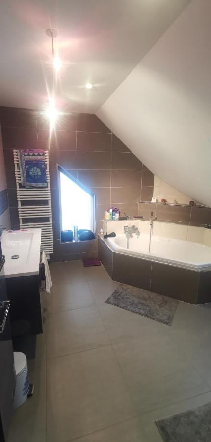 Chez Manu Apartment Voellerdingen Екстериор снимка