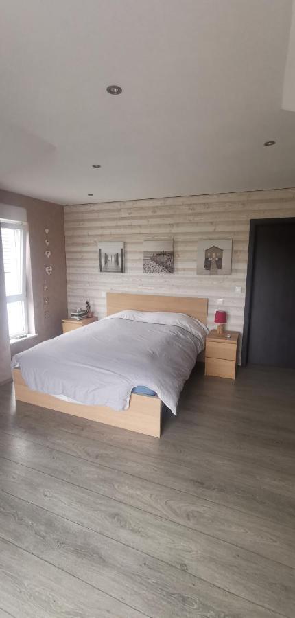 Chez Manu Apartment Voellerdingen Екстериор снимка