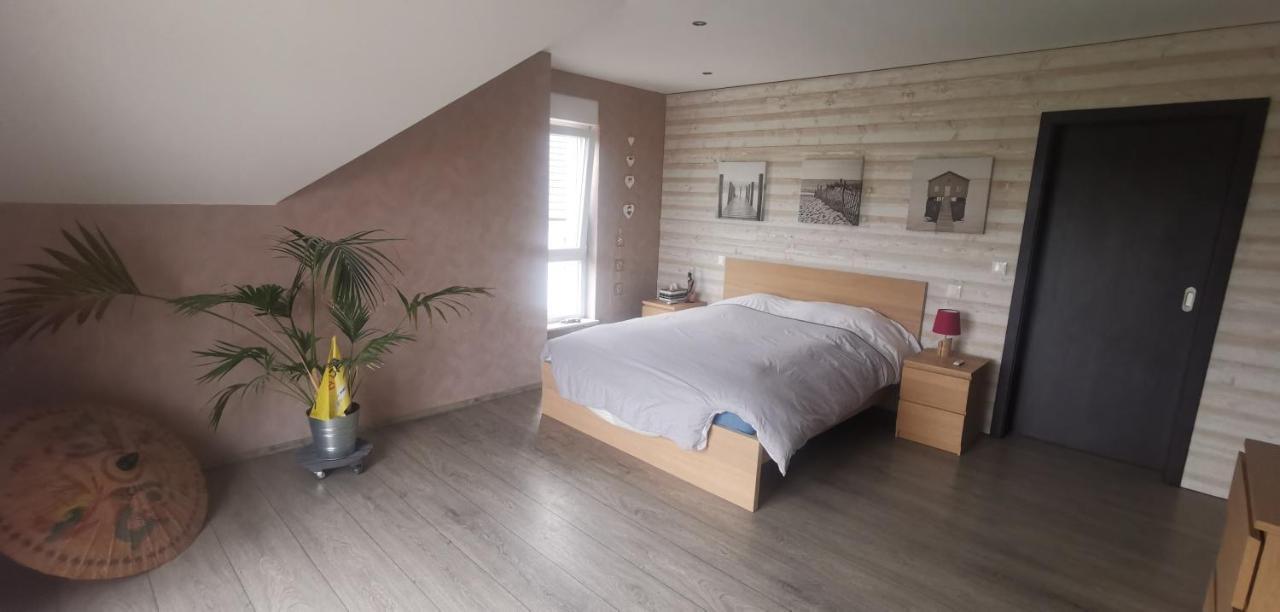 Chez Manu Apartment Voellerdingen Екстериор снимка